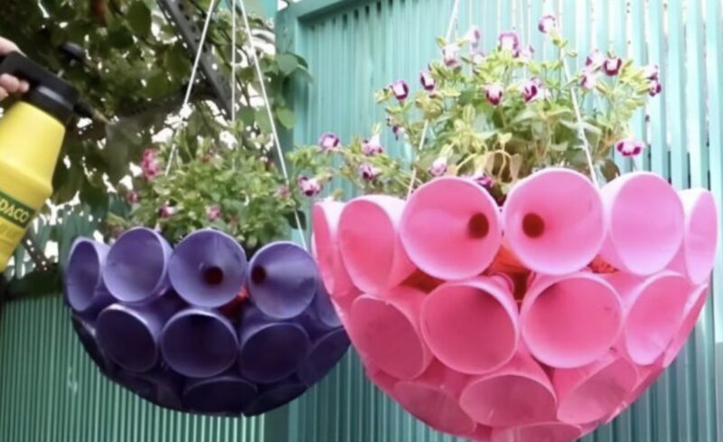 Il mio vicino voleva le mie bottiglie di plastica vuote: Vedendo come le usava, ho iniziato a raccoglierle anch’io: un’idea brillante!