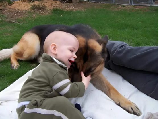 Un legame più forte delle parole: la commovente storia di un bambino e del suo cane