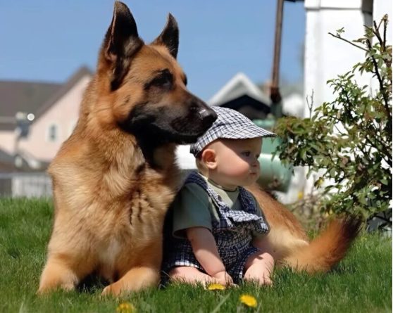 Un legame più forte delle parole: la commovente storia di un bambino e del suo cane