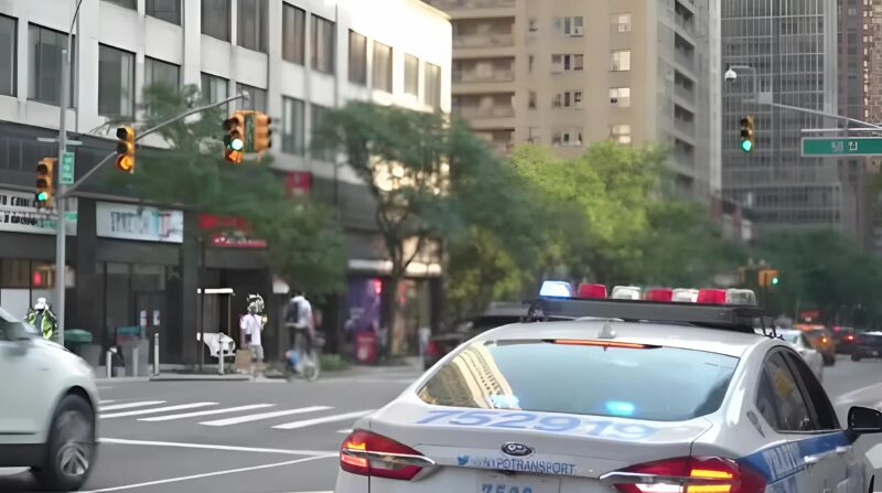 I poliziotti, sospettando una donna, l’hanno arrestata, ma quando si è presentata e ha spiegato chi fosse realmente, tutti sono rimasti congelati dalla sorpresa
